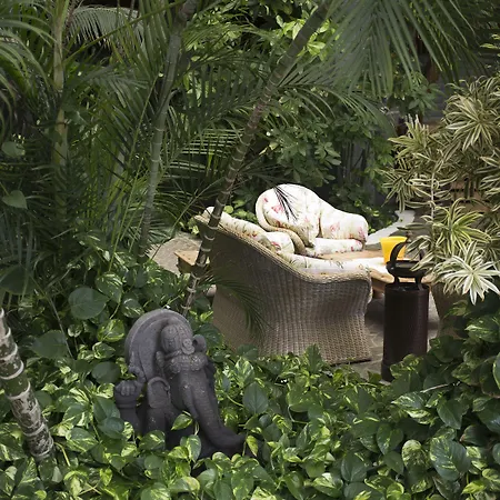 杨扎公主套房度假酒店 5* 普拉亚布兰卡